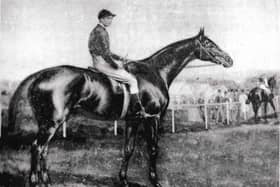 Lancashire’s Gold Cup winning racehorse Trayles