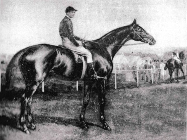 Lancashire’s Gold Cup winning racehorse Trayles