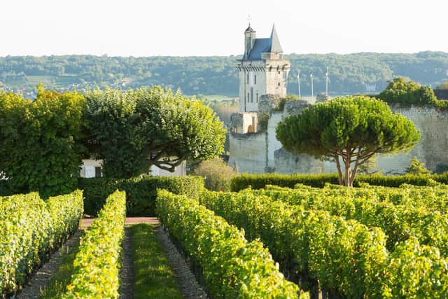 In the Loire Valley grapes often grow against the backdrop of chateaux from a time when nobles and kings made their mark on the landscape