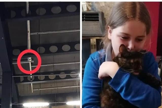 Milly the cat as spotted high up in the rafters of the Sainsbury’s depot on Talbot Street, Blackpool, and, right, home safe with Ella