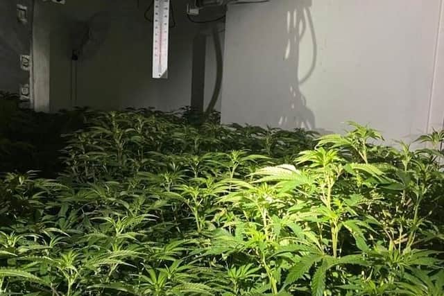 A cannabis farm was uncovered by police inside a property in Castleton Road, Preston. (Credit: Lancashire Police)