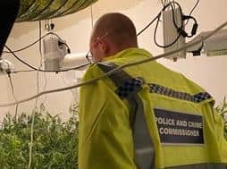 50 cannabis farms were raided in Lancashire following a major police operation (Credit: Lancashire Police)