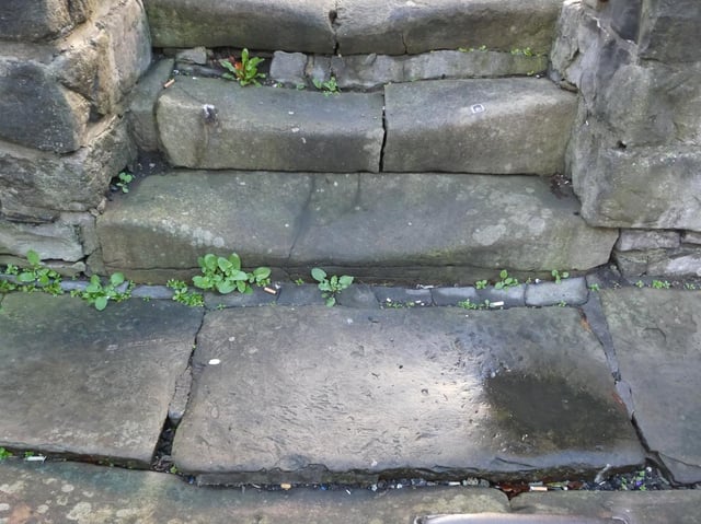 Heild Well, Clitheroe