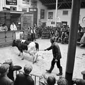 Skipton livestock market in 1986. Picture by John Bentley.