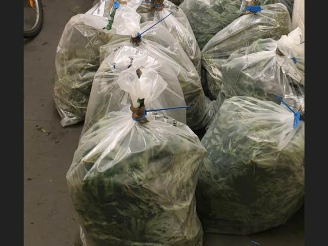 Bagged up produce in the cannabis factory at Goosnargh