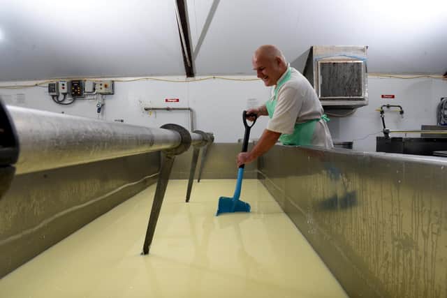 Head Cheesemaker Alan Townsend at work at Leagram Organic Dairy Photo: Neil Cross
