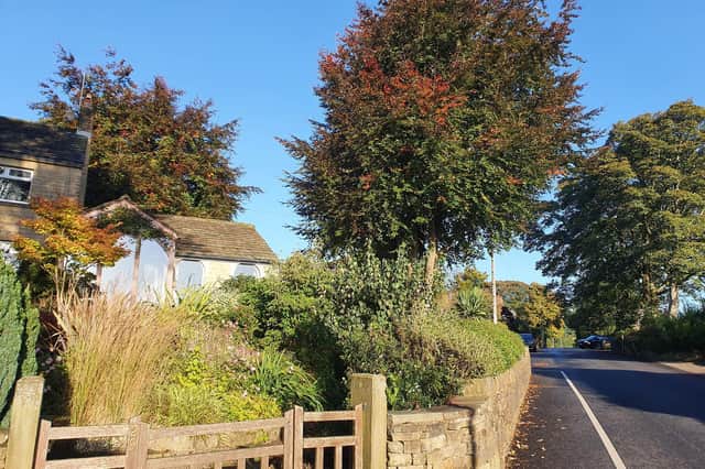 Autumn is here, winter is coming