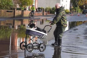 Robert Gudger takes his dog Ben for a walk using an unconventional method