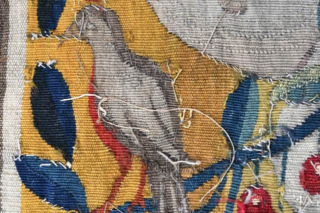 A bird in the border of one of the tapestries depicting the mythical story of Jason and the Golden Fleece at Astley Hall