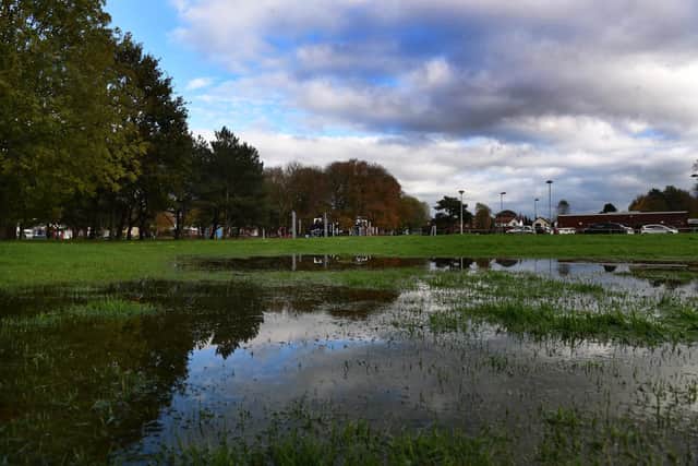 Heavy rain leaves parts of Ashton Park boggy, as seen after this week's downpours
