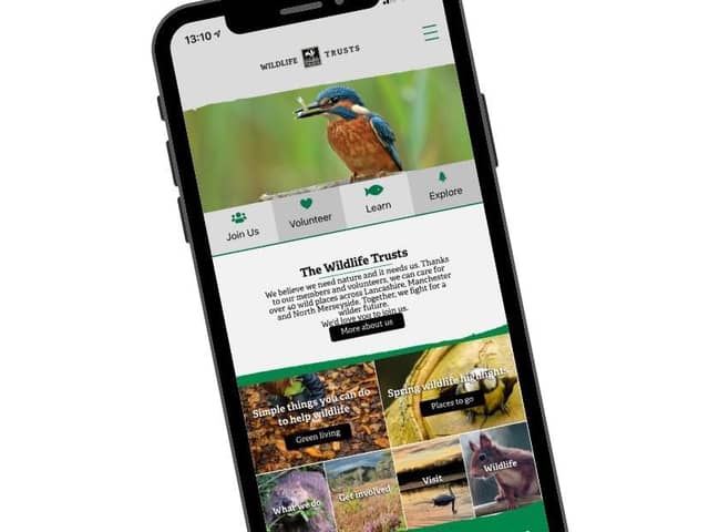 The new app