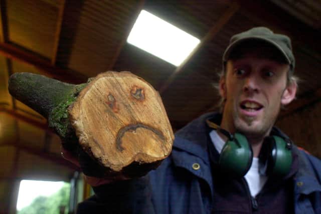 Tree surgeon Chris Vincent with the freaky wood face