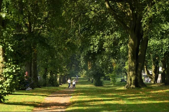 Tree lined Moor Park in Preston - one of the parks which earned the city its new status.