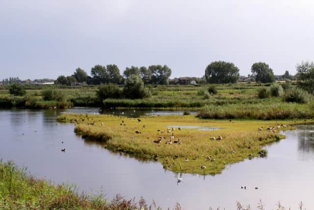 Martin Mere Wetland Centre