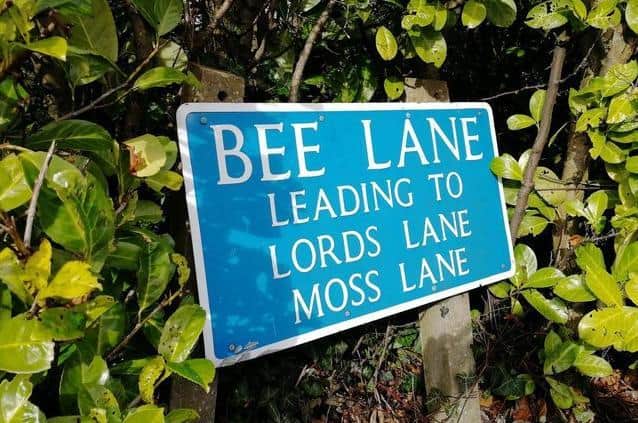 Bee Lane is part of a network of popular rural routes in Penwortham