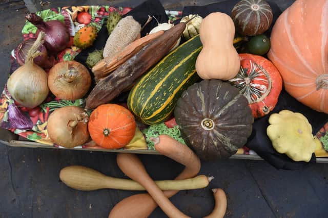 A selection from this year's vegetable crop Photo: Neil Cross