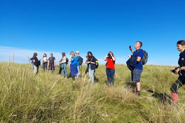 Walking around The Bay: a time to pause and celebrate the beauty and richness of local landscapes