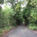 Nell Lane has been the focus of a battle over planning permission (image: Chorley Council)