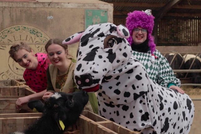 Jack and the Beanstalk pantomime at Lancaster Grand this December.
Buttermilk, Billy, Jack and Dame Dotty Dimple being introduced to other cows at 'Walling’s Farm'.