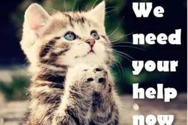 Bentham Pet Rescue charity is looking for a new home.