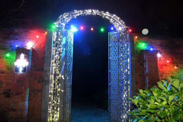 Some of the Christmas lights at St Catherine's Hospice this year