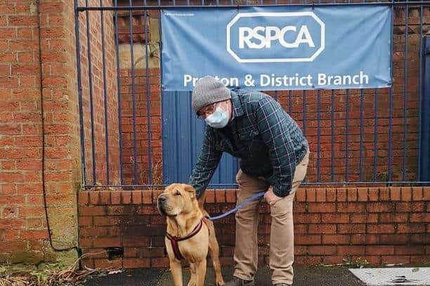 Staff at the RSPCA's Preston and District Branch Rehoming Centre spent 14 months rehabilitating Teddy