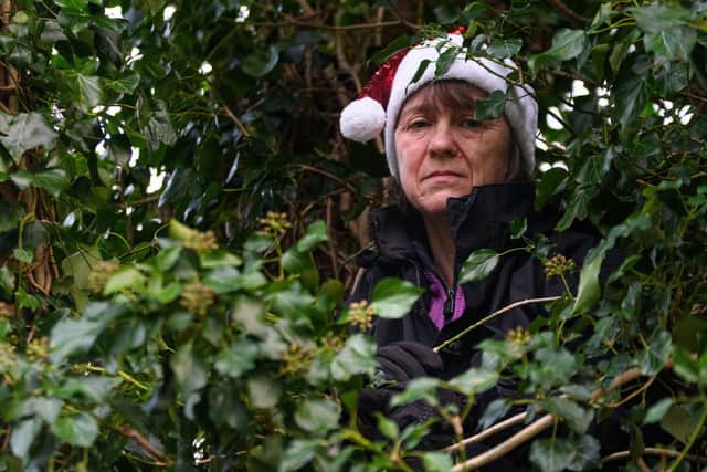 Protestor Patricia Pinder  pictured in one of the threatened trees