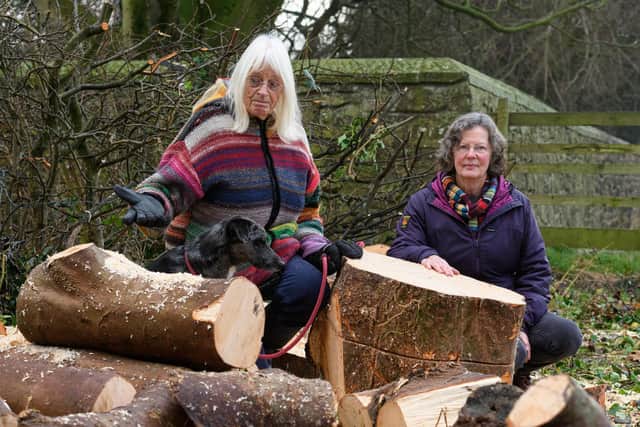 Protestors Judy Mallam (left) and Clare Hyde pictured by the stumps of the trees which had already been chopped down