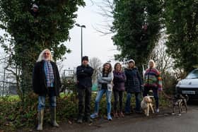 A small group of protestors gather by the trees which were due to be cut down Photo: Kelvin Stuttard
