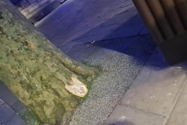 Baby Jesus was found next to a tree next beside the Nativity cabinet in Flag Market last night (Tuesday, December 21). Pic: Smashed