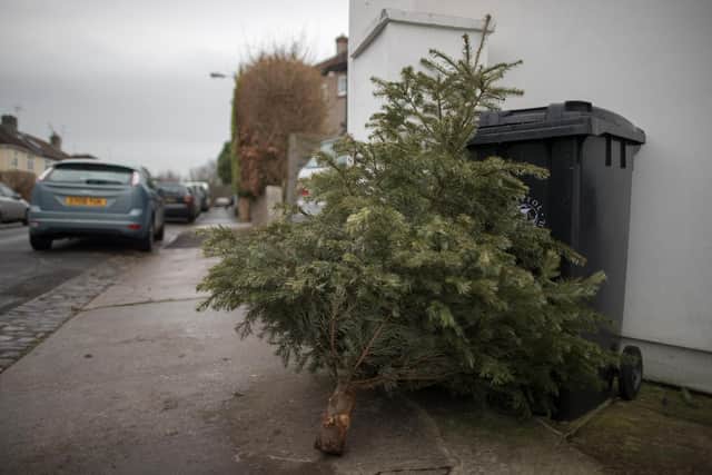 You can recycle your Christmas tree for a good cause