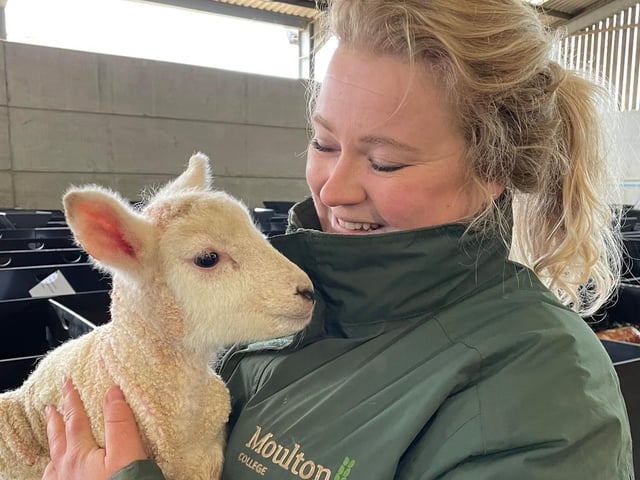 Adorable new arrivals at Moulton College.