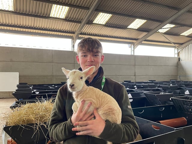 Adorable new arrivals at Moulton College.