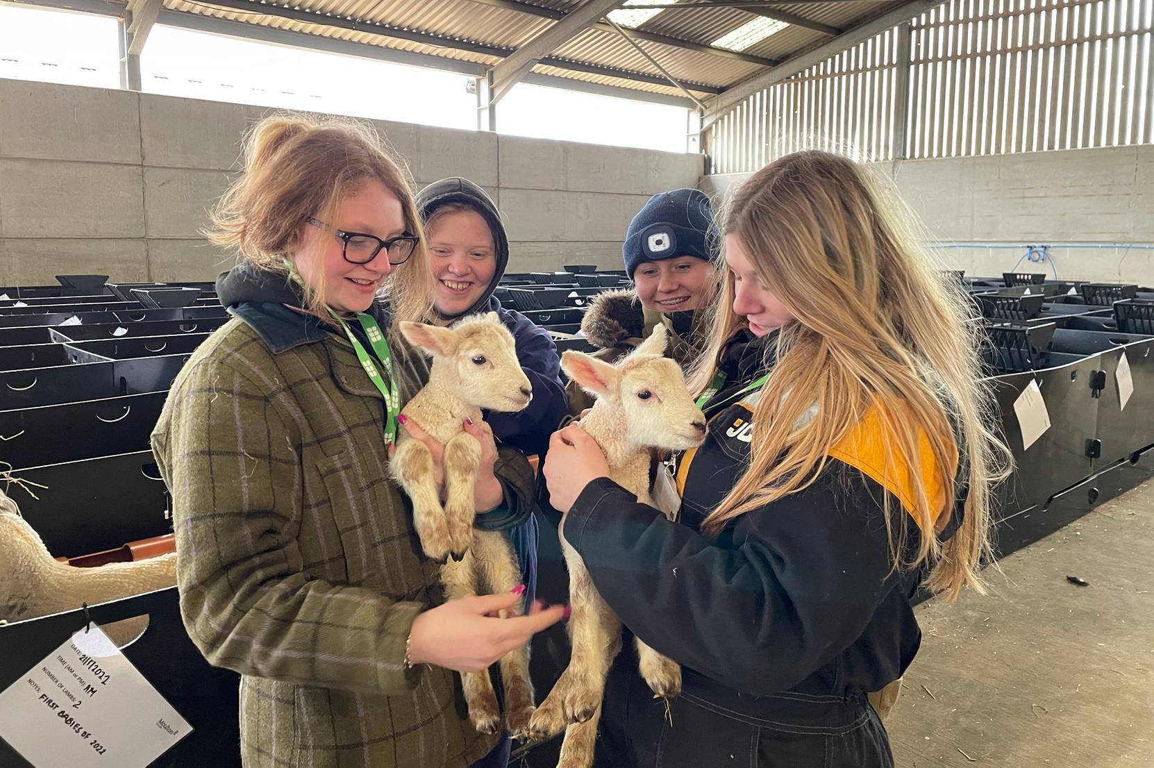 Adorable new arrivals at Moulton College.