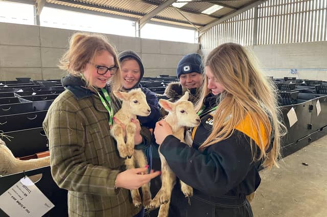 Adorable new arrivals at Moulton College.