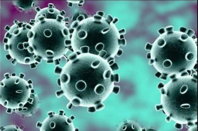 Coronavirus cases continue to be high in the local district.