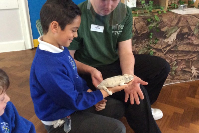 Hedgehogss class meets the reptiles. Picture supplied and not available to buy.