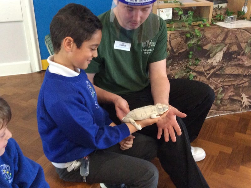 Hedgehogss class meets the reptiles. Picture supplied and not available to buy.