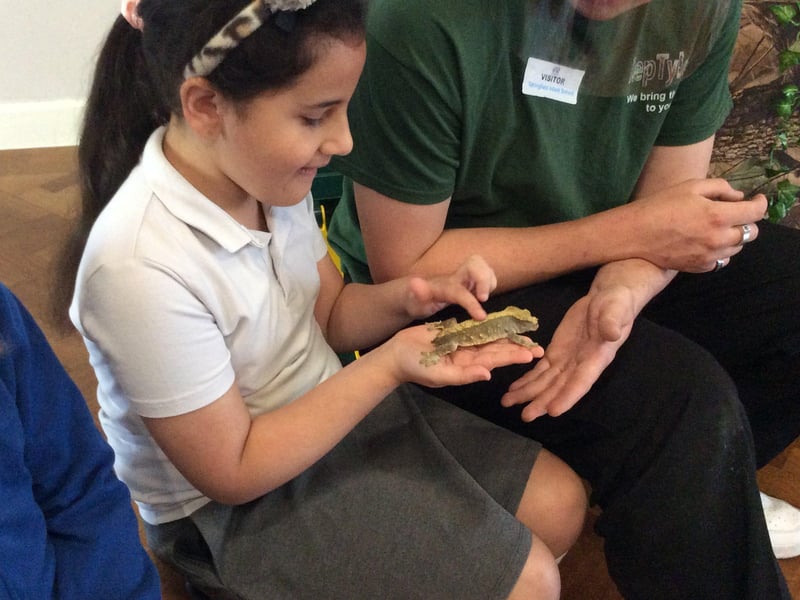 Hedgehogss class meets the reptiles. Picture supplied and not available to buy.