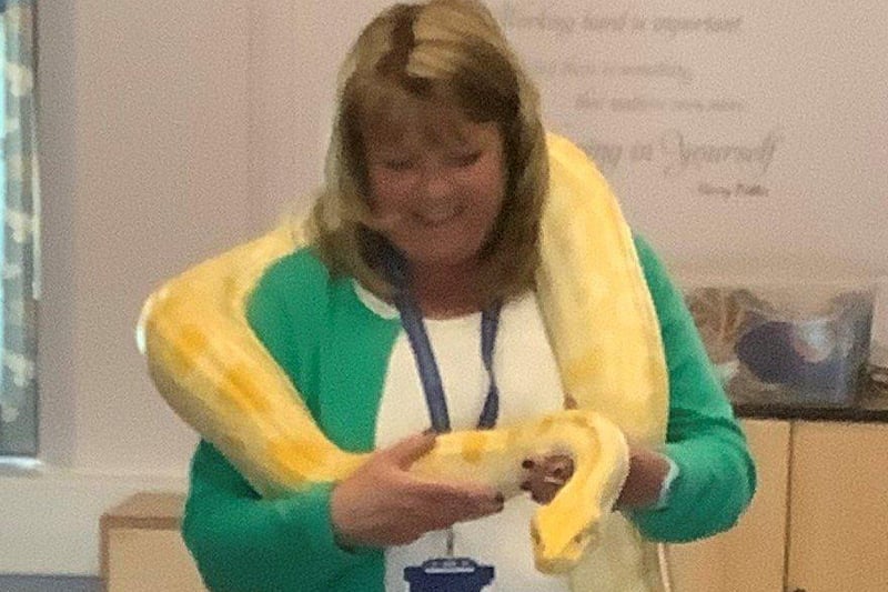 Headteacher Mrs Becky Wycherley with the albino Burmese python. Picture supplied and not available to buy.