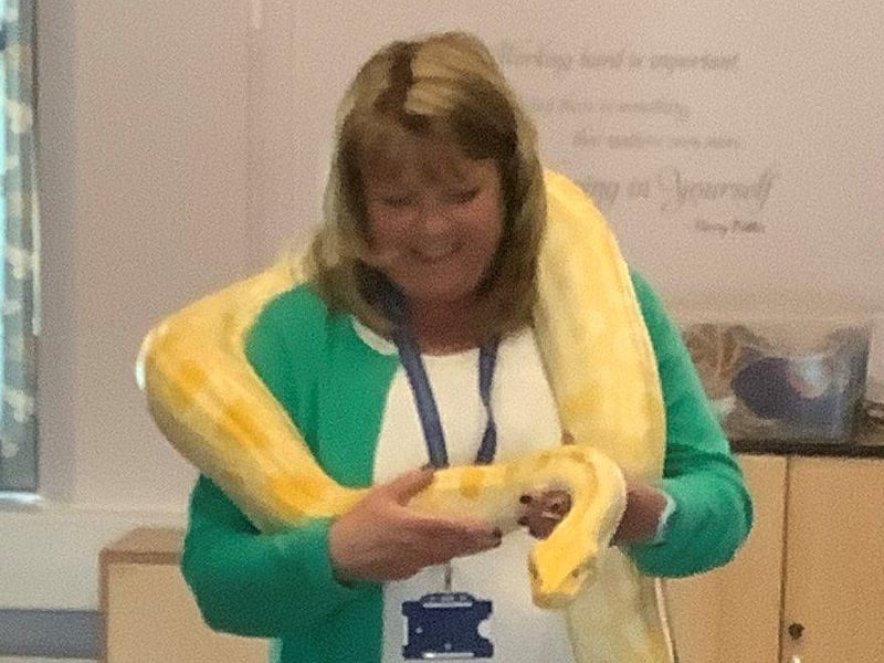 Headteacher Mrs Becky Wycherley with the albino Burmese python. Picture supplied and not available to buy.