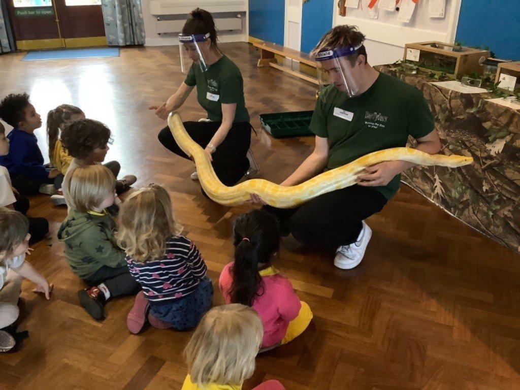 Ducklings class meets the reptiles. Picture supplied and not available to buy.