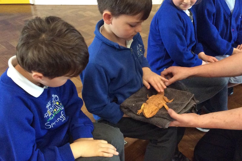 Hedgehogss class meets the reptiles. Picture supplied and not available to buy.