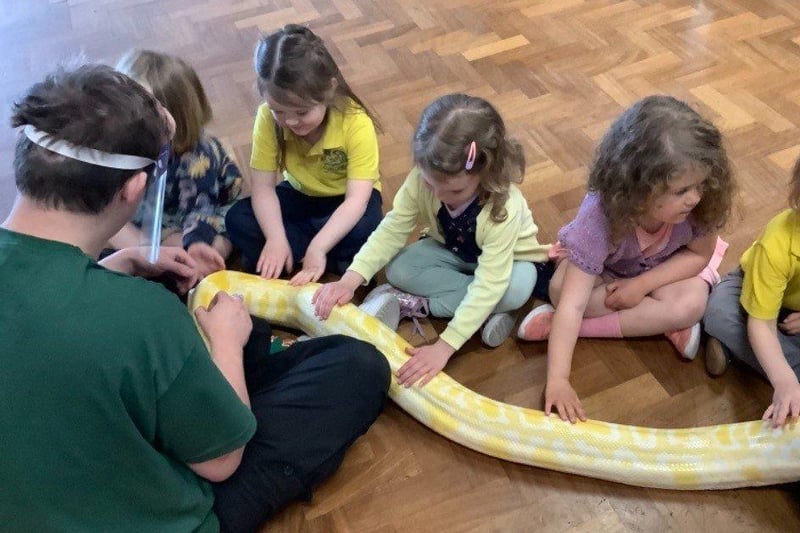 Ducklings class with the albino Burmese python. Picture supplied and not available to buy.