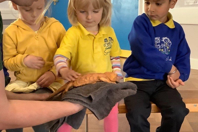 Ducklings class meets the reptiles. Picture supplied and not available to buy.
