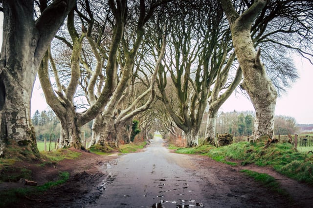 The Dark Hedges are the ideal spot to propose to someone who is a Game of Thrones fan. The iconic tree-lined road featured in season two of the HBO drama.