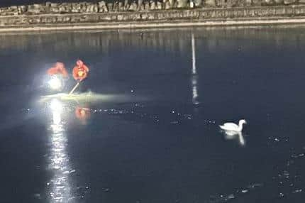 LFRS Lancashire firefighters rescued a trapped swan from a frozen lake