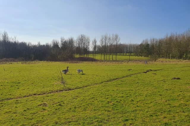 The former Goosnargh Golf Club site