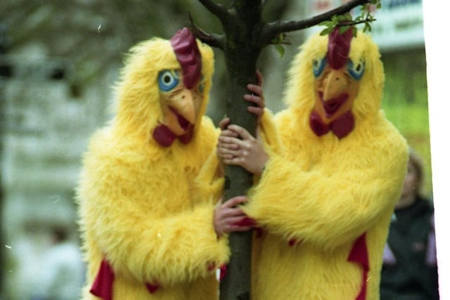 These havoc-making hens were part of an advertising gimmick to boost trade at Dixie Fried Chicken takeaway restaurant in Preston. Stunned shoppers were stopped in their tracks as the pair provided the wackiest sight of the Easter holiday.