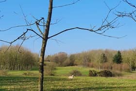 The former nine-hole Goosnargh golf course has not seen play since the summer of 2019